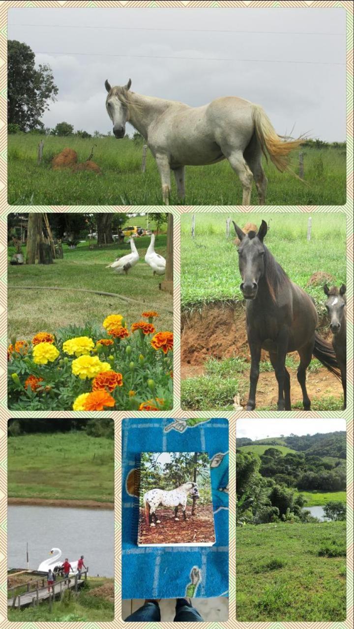 Chales Reviva Sao Sebastiao do Rio Verde ภายนอก รูปภาพ
